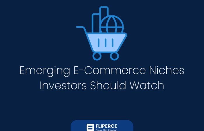 Emerging E-Commerce Niches Investors Should Watch