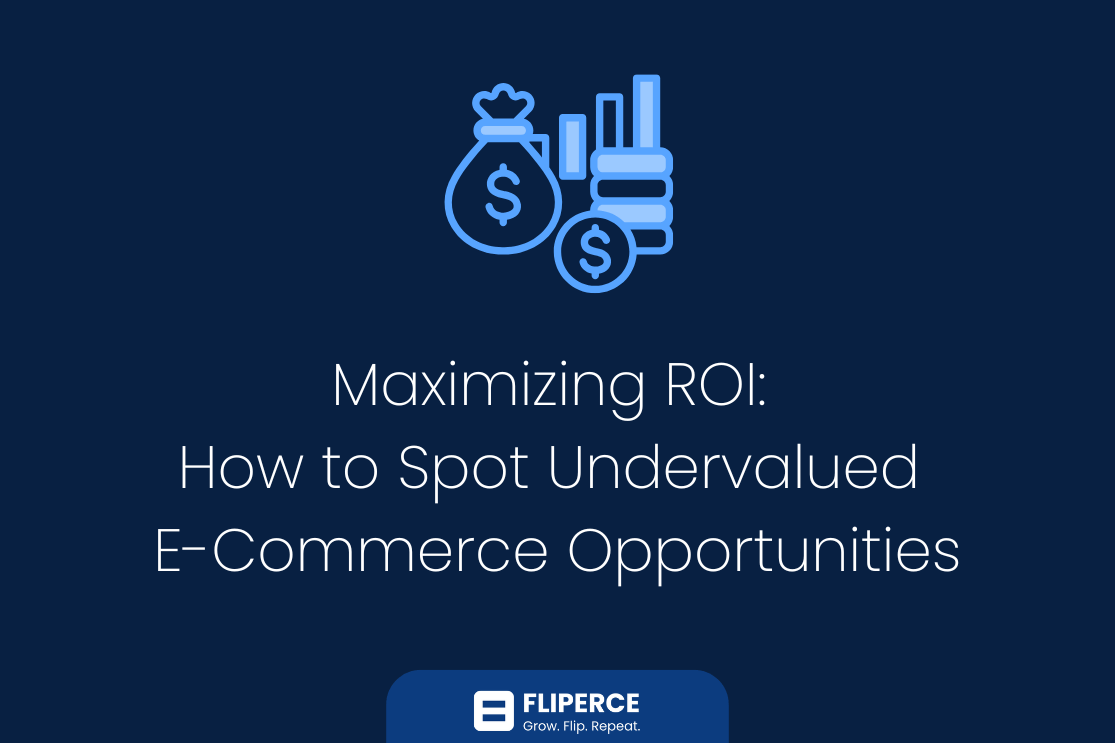 Maximizing ROI: How to Spot Undervalued E-Commerce Opportunities